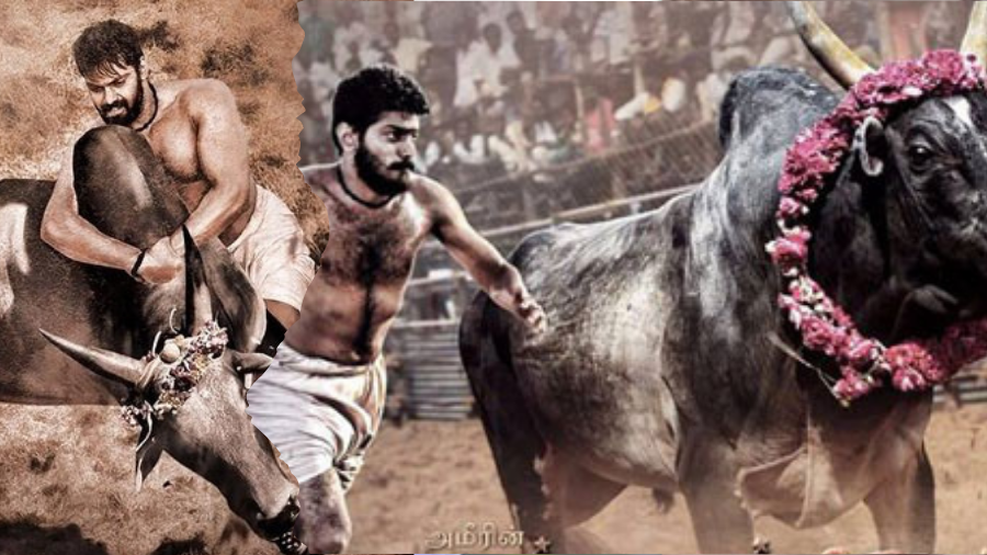 ആര്യയും സത്യയും ഒന്നിച്ചെത്തുന്നു …
